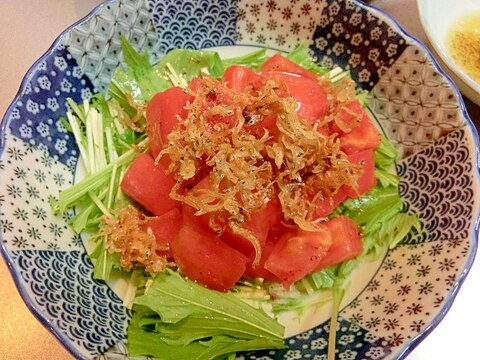 カリカリじゃこサラダ　水菜＆トマトバージョン　